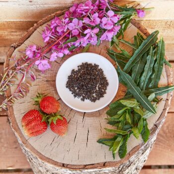 Imersão 40 + natural